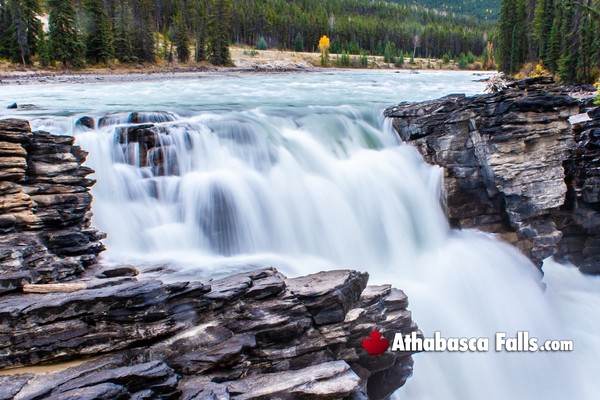 Athabasca Falls During October