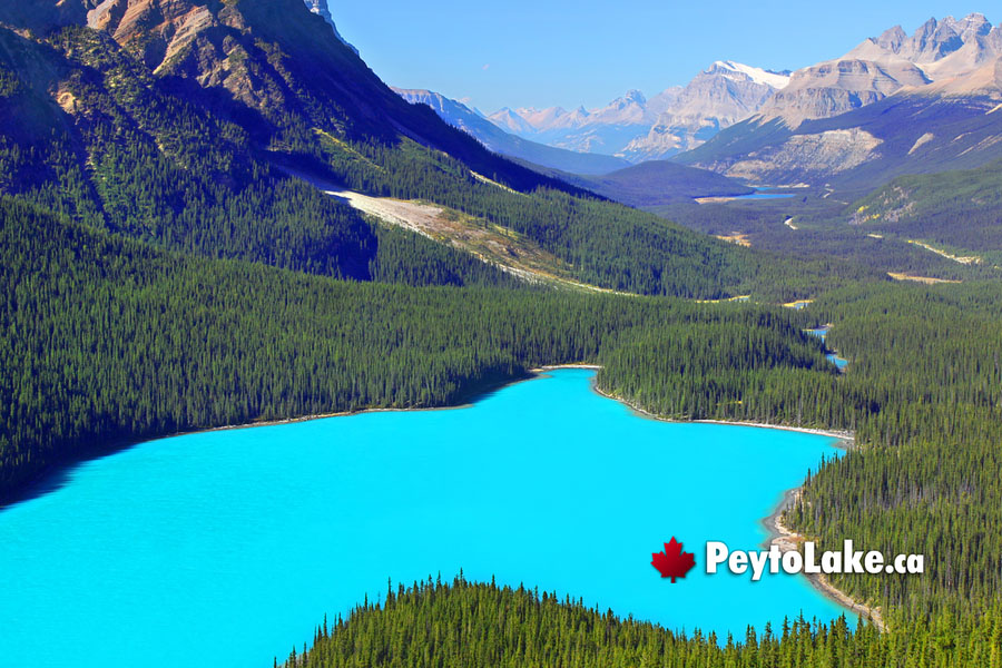 October at Peyto Lake
