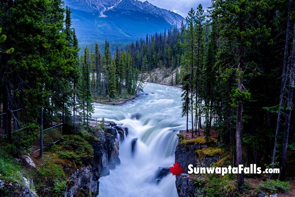 Sunwapta Falls in October